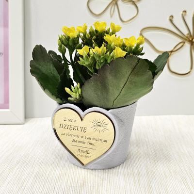 doniczka-oslonka-na-kwiat-rosline-biala-zlota-lustrzana-aplikacja-serduszko-ihs-upominki-na-komunie-pamiatki-podziekowania-komunijne-dla-gosci-chrzestnych-dziadkow-MAYA