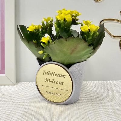oryginalna-biala-doniczka-oslonka-na-kwiat-rosline-zlota-lustrzana-aplikacja-z-logo-na-jubileusz-firmy-upominki-dla-gosci-wspolpracownikow-sponsorow-dowolny-napis-doniczki-firmowe-z-logo-MAYA