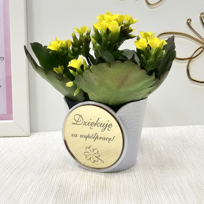 wyjatkowa-doniczka-oslonka-na-kwiat-rosline-biala-zlota-lustrzana-aplikacja-pamiatka-prezent-dla-kolezanek-kolegow-z-pracy-przejscie-na-emeryture-zmiana-pracy-MAYA